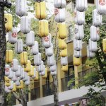 Ảnh tại Hòa Bình