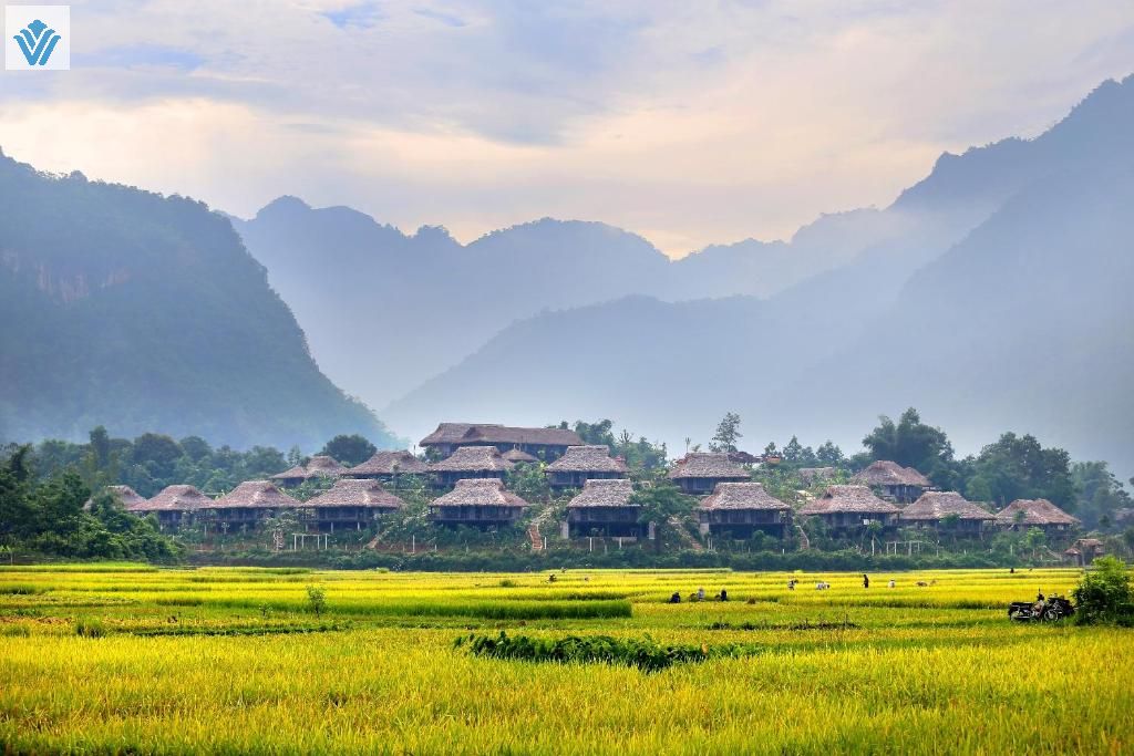 tam khoang nong hoa binh tam khoang nong hoa binh
