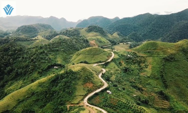tam khoang nong hoa binh tam khoang nong hoa binh