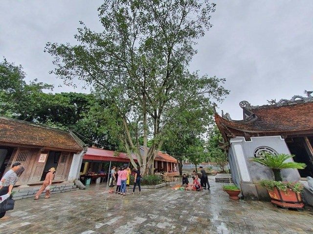 den lang suong
