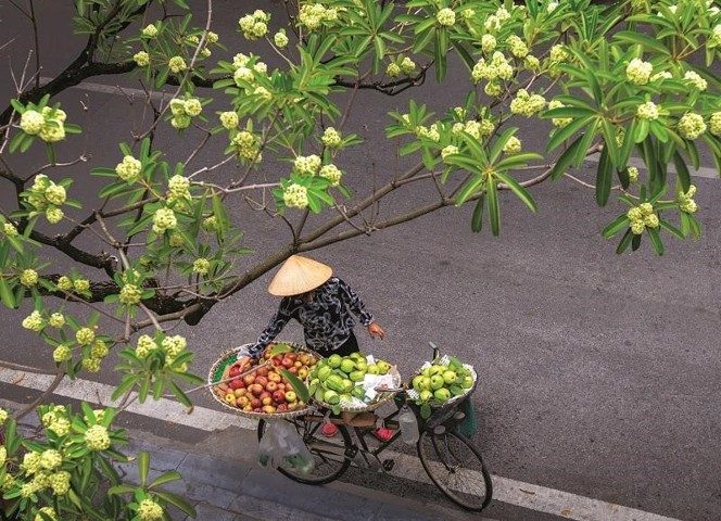 du lich ha noi mua thu du lich ha noi mua thu