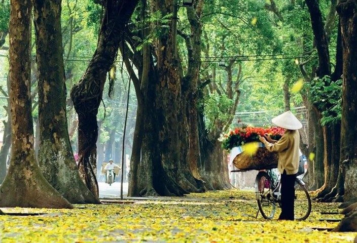 2024-05-du-lich-ha-noi-mua-thu-12.jpg