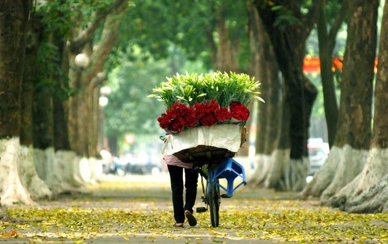 du lich ha noi mua thu du lich ha noi mua thu