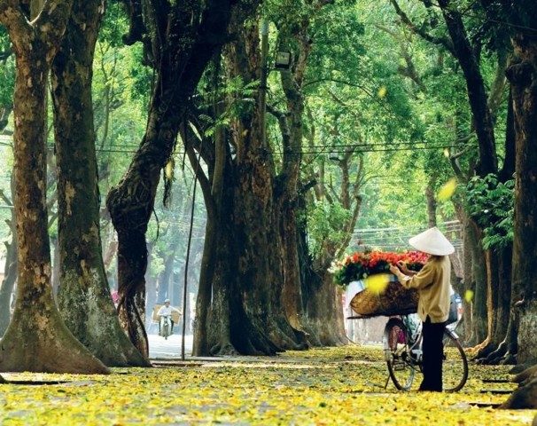 du lich ha noi mua thu du lich ha noi mua thu