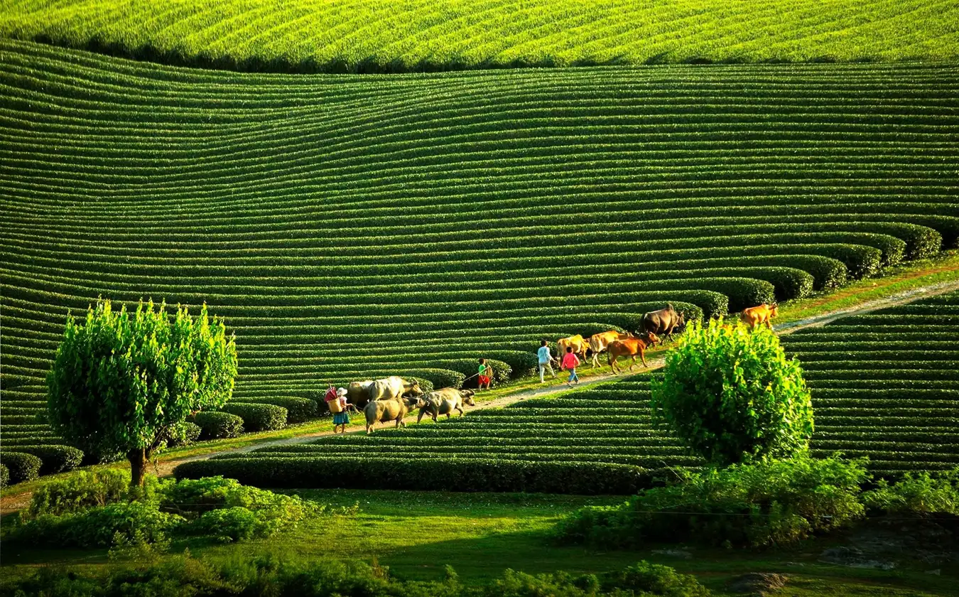 tháng 5 nên đi du lịch ở đâu tháng 5 nên đi du lịch ở đâu