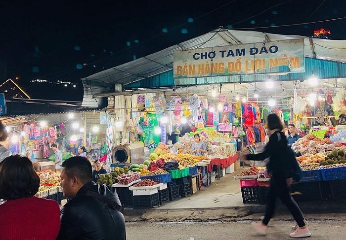 Kinh nghiệm đi Tour du lịch Tam Đảo 2 ngày 1 đêm chi tiết nhất