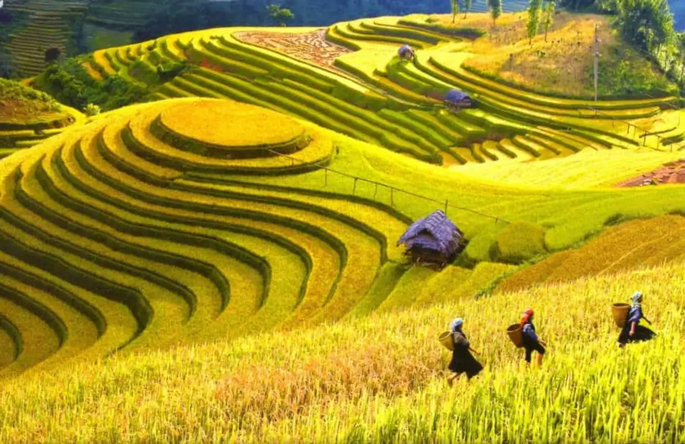 Top điểm nghỉ dưỡng miền Bắc “siêu” lý tưởng tận hưởng mùa thu