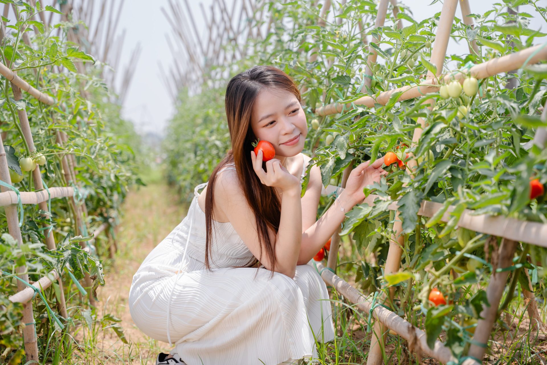 SCHOOL TOUR CUỐI NĂM – HÀNH TRÌNH KHÁM PHÁ VÀ TRẢI NGHIỆM TẠI LYNNTIMES THANH THỦY