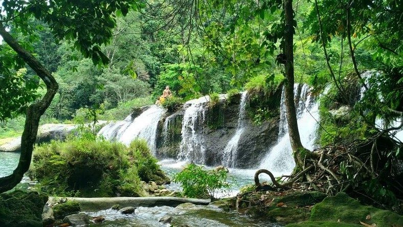 Khám Phá Thác Vạn Mơ Phú Thọ: Vẻ Đẹp Hoang Sơ Giữa Đại Ngàn