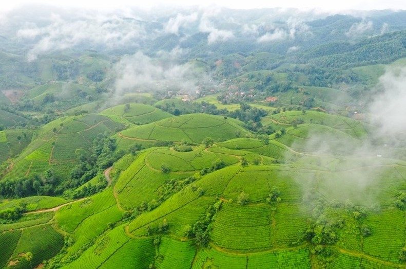 Top 10 Khu Du Lịch Sinh Thái Ở Phú Thọ Đáng Đi Nhất 2026
